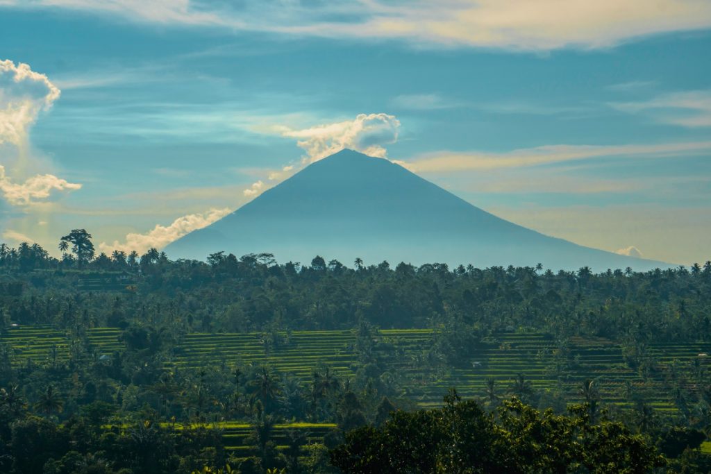 Bali - jungle and volcano view